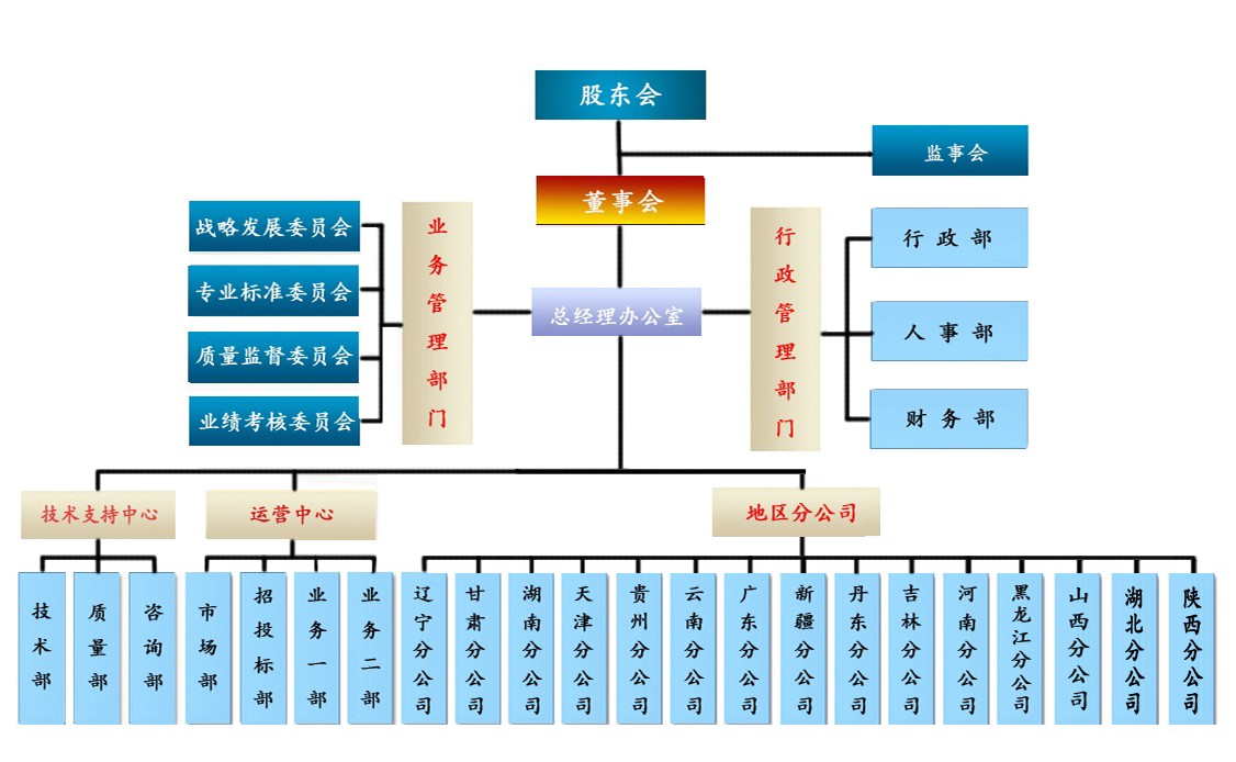 组织结构